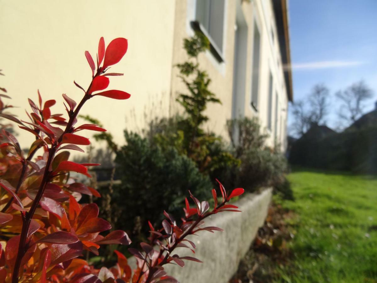 U Nas - Apartman Zajic Vapenna Eksteriør billede
